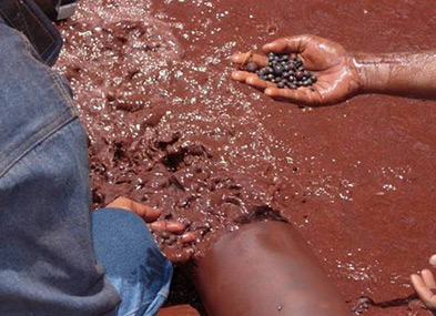 橡膠轉(zhuǎn)子泵