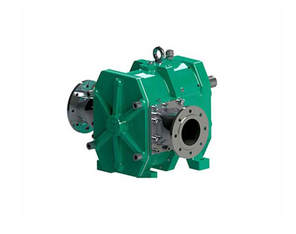 轉(zhuǎn)子泵品牌 轉(zhuǎn)子泵品牌