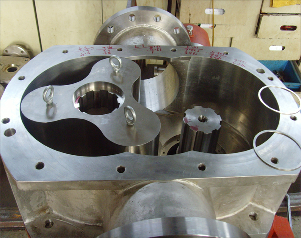 不銹鋼耐腐蝕轉(zhuǎn)子泵